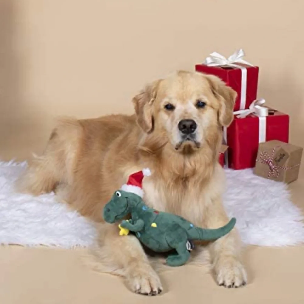 🆕 Fringe Studio Fa Rawr Rawr Rawr T Rex Dog Toy